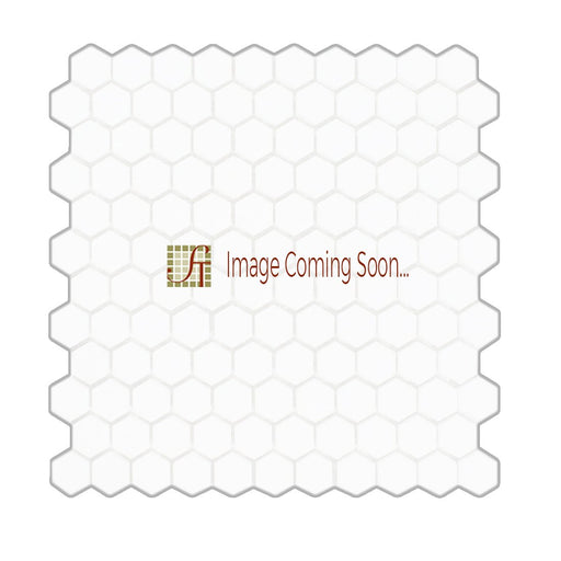 Basalt Gray Basalt Mosaic - 1" Hexagon Honed