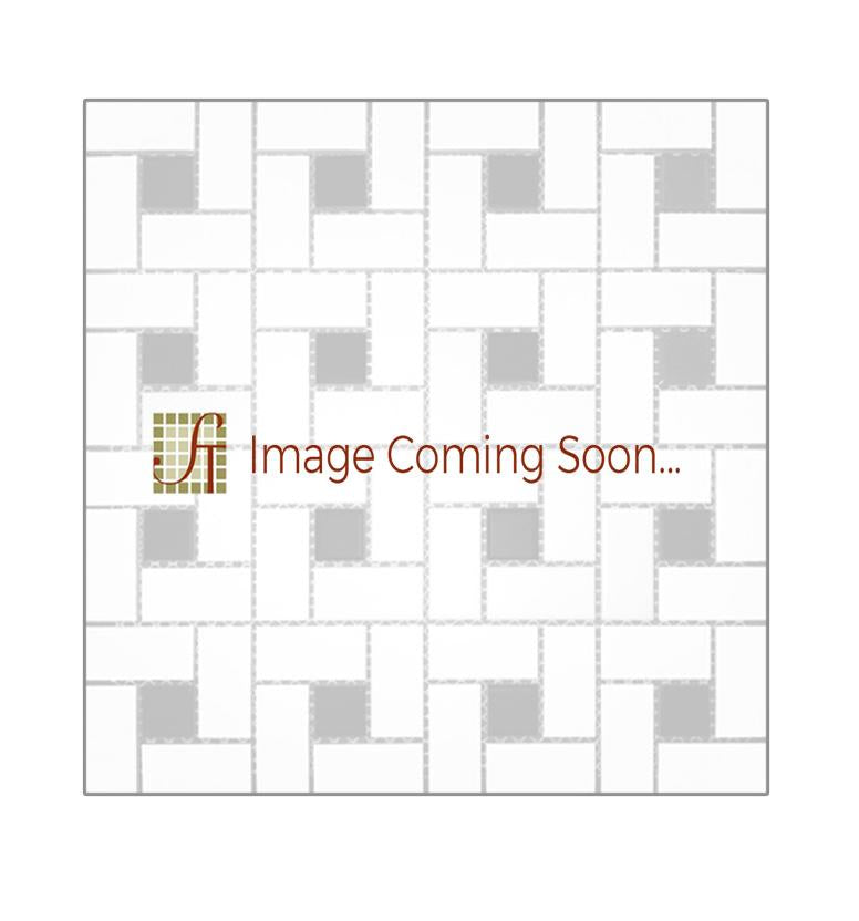 Ivory Travertine Mosaic - 1" x 2" Pinwheel with Noche Dots Tumbled