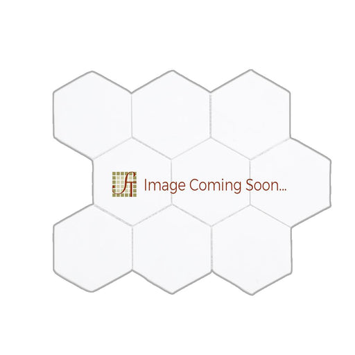 Tundra Gray Marble Mosaic - 4" Hexagon Honed