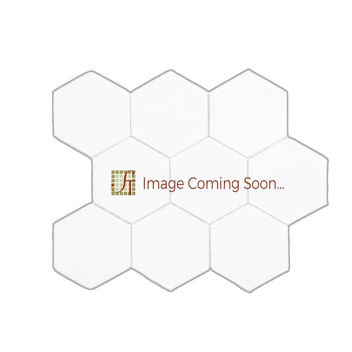 Tundra Gray Marble Mosaic - 4" Hexagon Honed