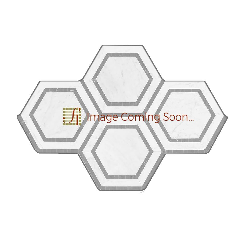 Thassos White Marble Mosaic - 5" Hexagon with Black Polished