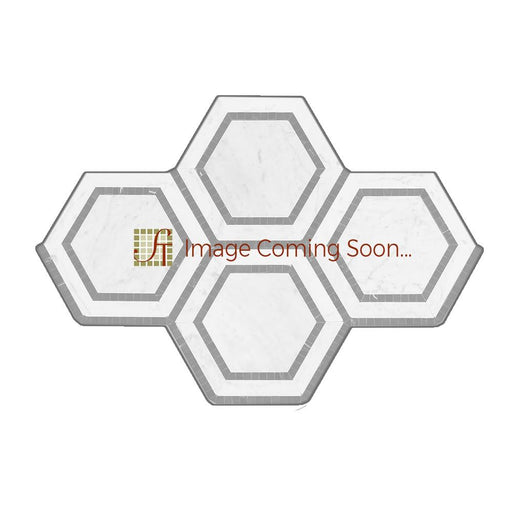 Thassos White Marble Mosaic - 5" Hexagon with Black Polished