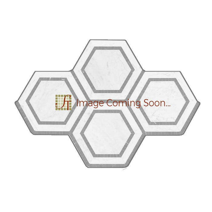 Thassos White Marble Mosaic - 5" Hexagon with Black Polished