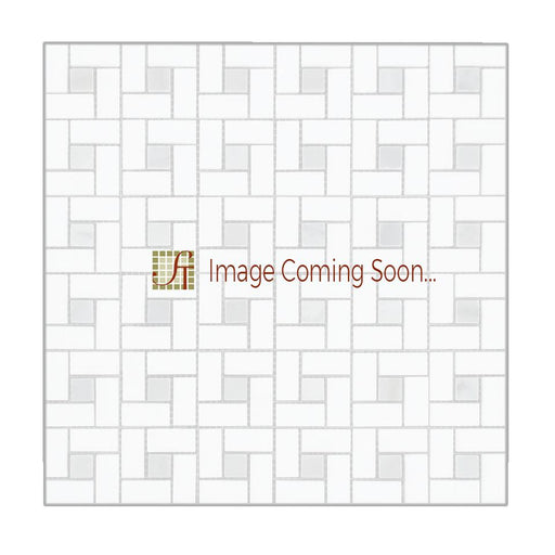 Carrara Venatino Marble Mosaic - 5/8" x 1 1/4" Pinwheel with Gray Dots Polished