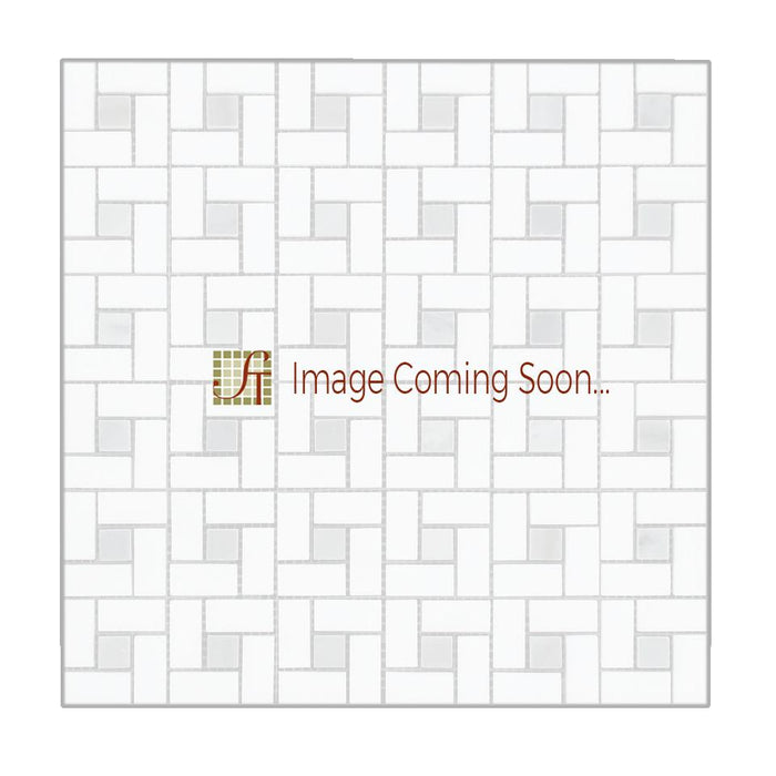 Carrara Venatino Marble Mosaic - 5/8" x 1 1/4" Pinwheel with Gray Dots Polished