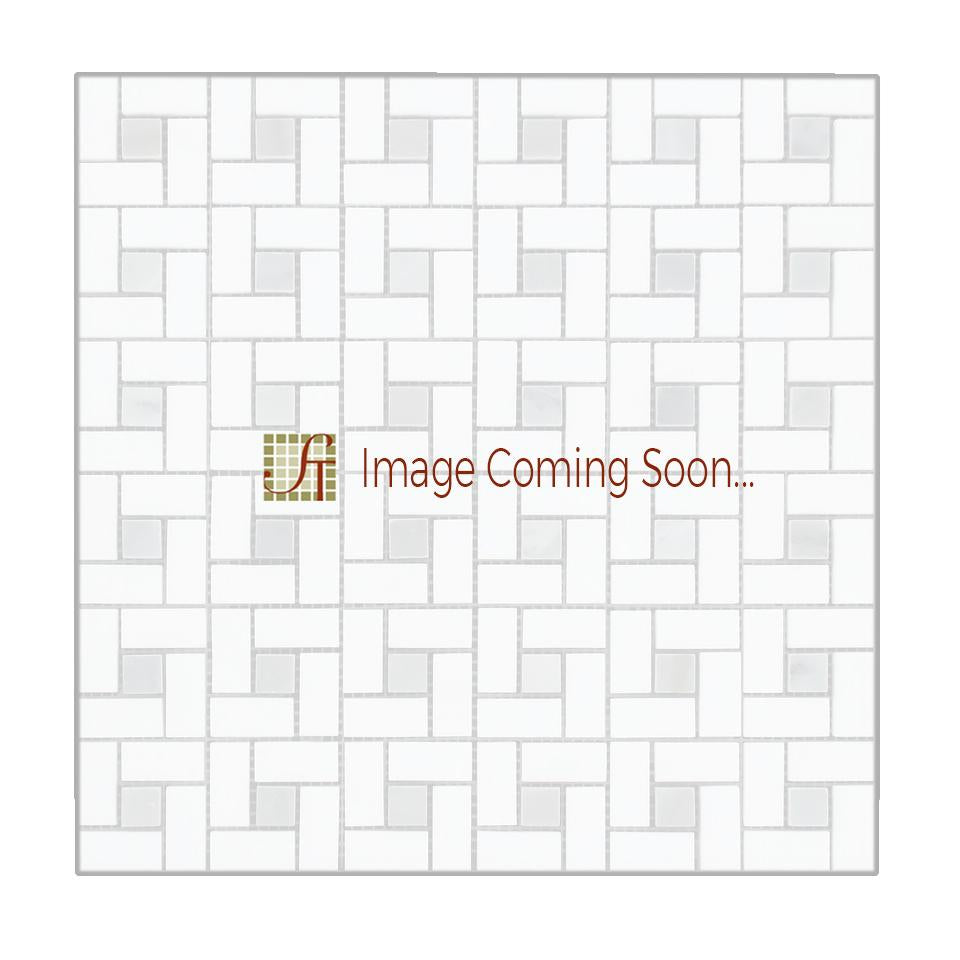 Carrara Venatino Marble Mosaic - 5/8" x 1 1/4" Pinwheel with Gray Dots Polished