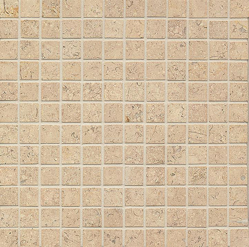 Belgian Truffles Limestone Mosaic - 1" x 1" Honed