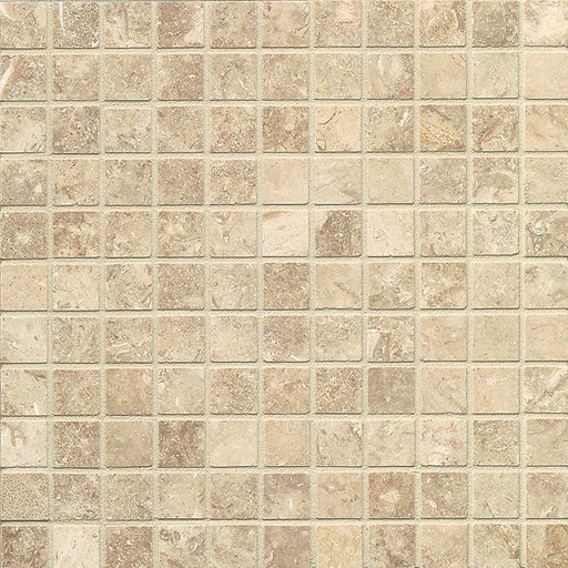 Camargo Limestone Mosaic - 1" x 1" Honed