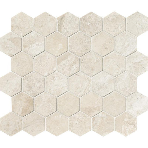 Diano Reale Marble Mosaic - 2" Hexagon Polished