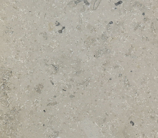 Full Tile Sample - Jura Grey Limestone Tile - 12" x 12" x 3/8" Honed