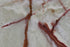 Full Tile Sample - Onyx Green Light Onyx Tile - 12" x 12" x 3/8" Polished