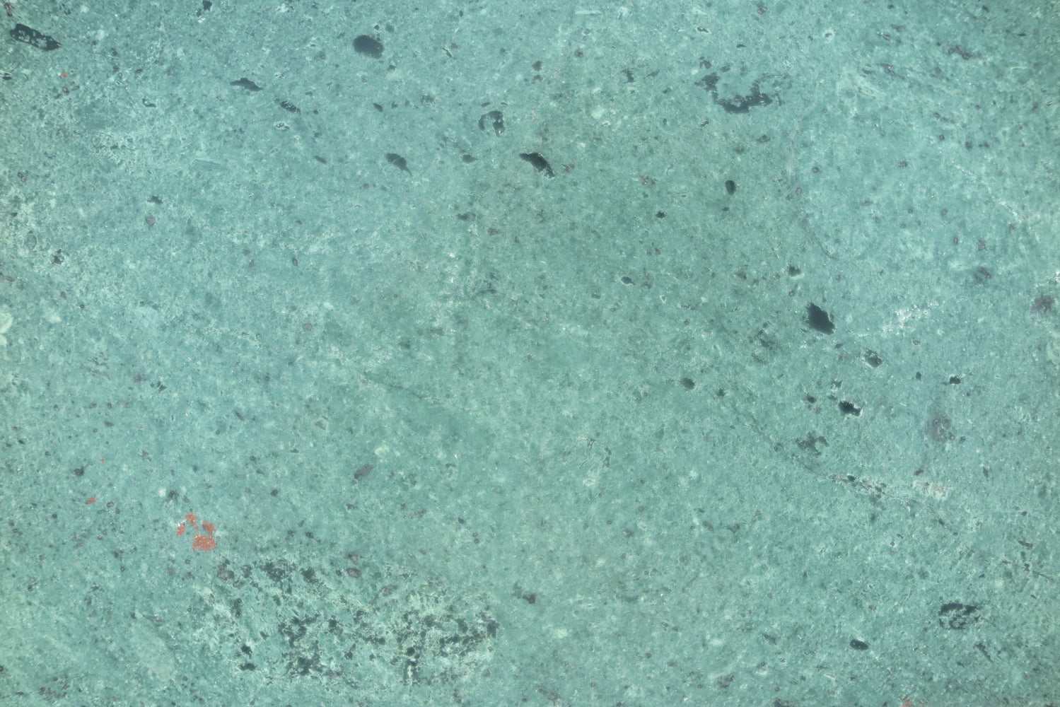 Full Tile Sample - Medium Green Marble Tile - 12" x 12" x 3/8" Polished