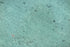 Full Tile Sample - Medium Green Marble Tile - 12" x 12" x 3/8" Polished