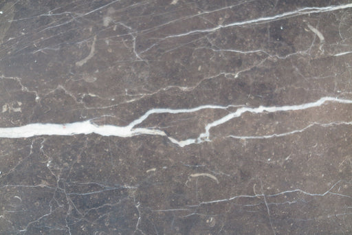 Full Tile Sample - New Saint Laurent Marble Tile - 18" x 18" x 1/2" Polished