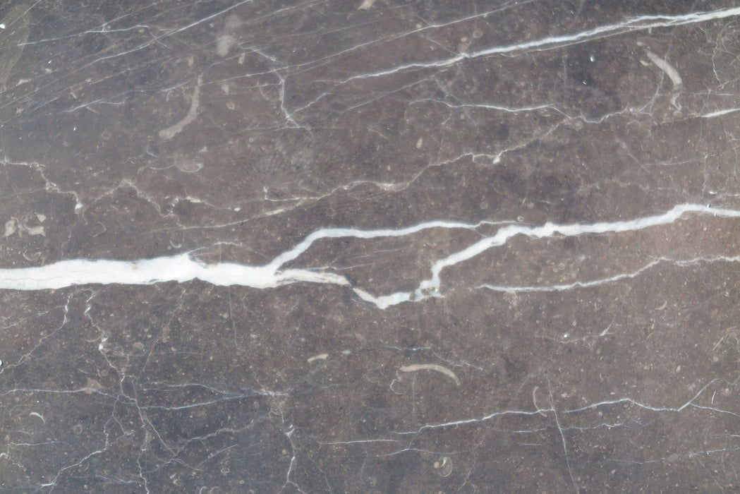 Full Tile Sample - New Saint Laurent Marble Tile - 18" x 18" x 1/2" Polished