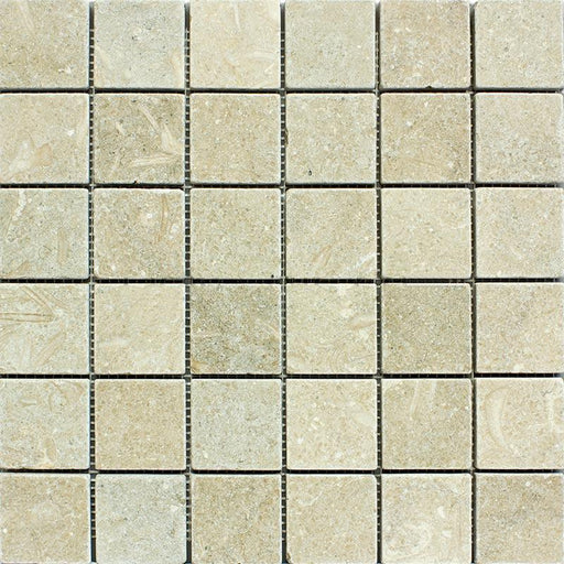 Seagrass Limestone Mosaic - 2" x 2" Tumbled