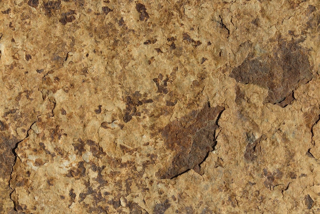 Full Tile Sample - Carioca Gold Slate Tile - 12" x 24" x 5/8" Natural Cleft Face, Gauged Back