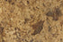 Full Tile Sample - Carioca Gold Slate Tile - 12" x 24" x 5/8" Natural Cleft Face, Gauged Back