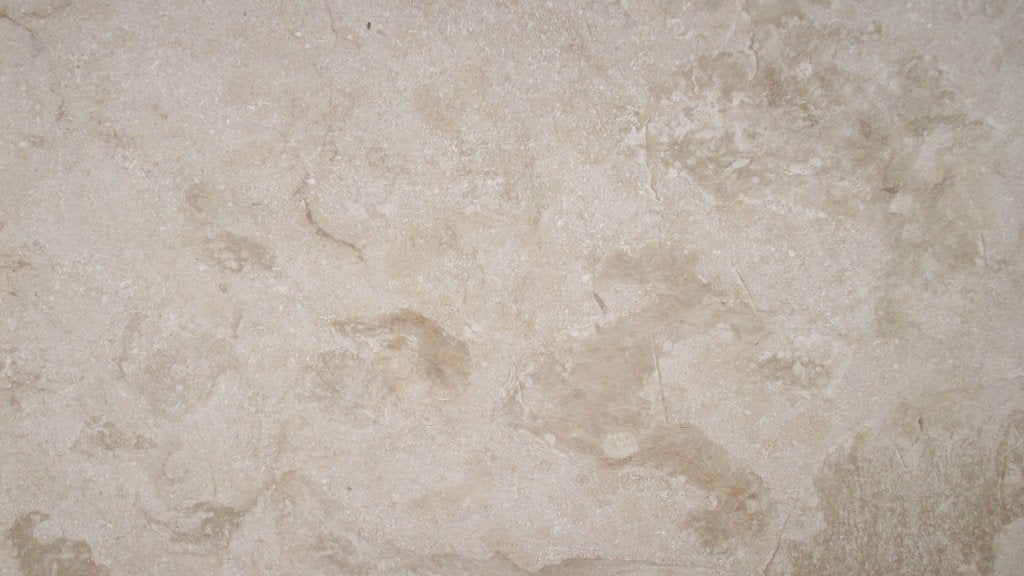 Carmi Fiorito Marble Tile - 12" x 12" x 3/8" Polished