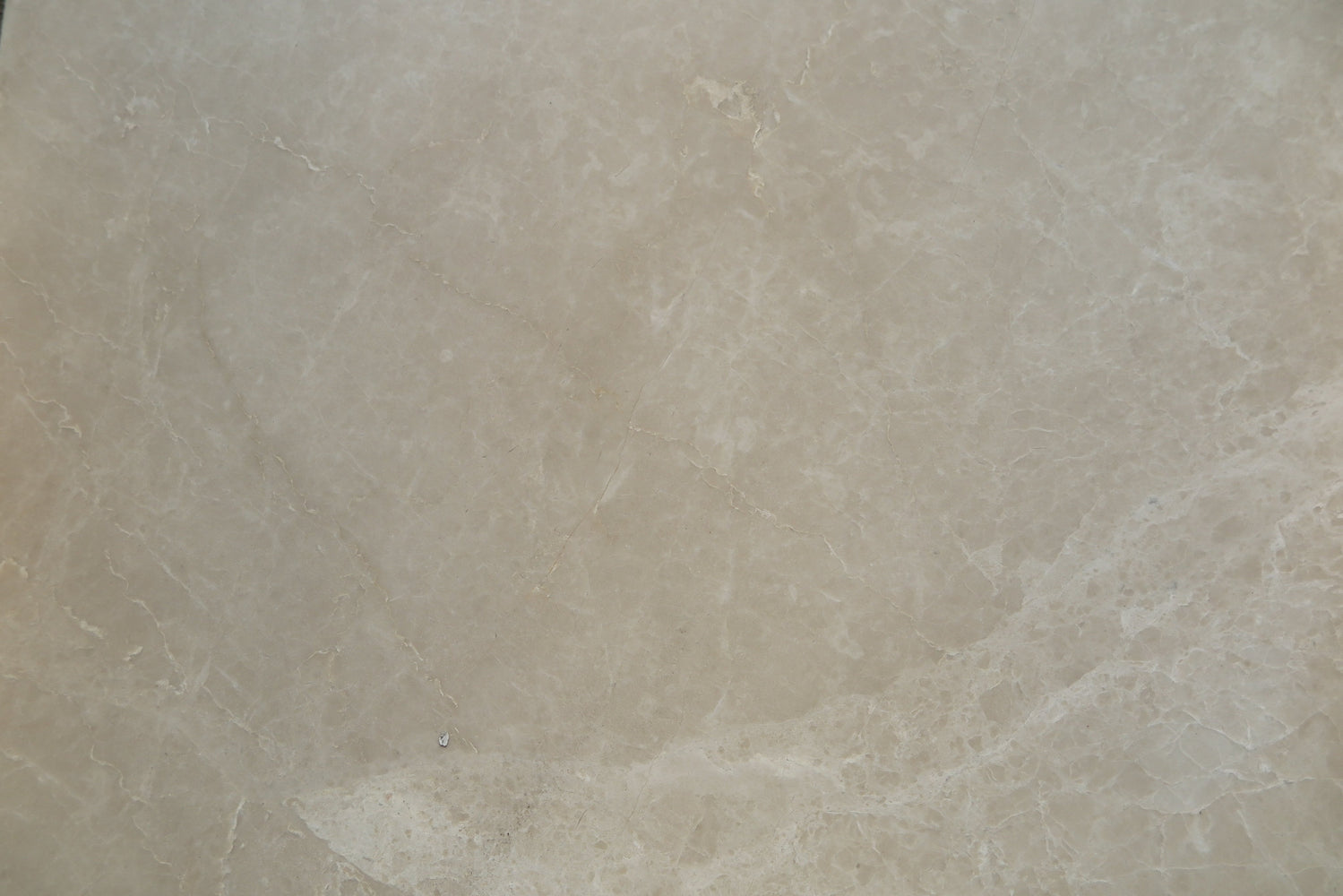 Full Tile Sample - Crema Aakar Marble Tile - 24" x 24" x 3/4" Polished
