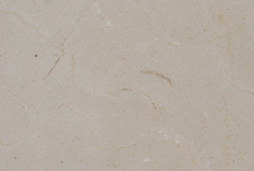 Full Tile Sample - Crema Marfil Select Marble Tile - 24" x 24" x 3/8" Honed