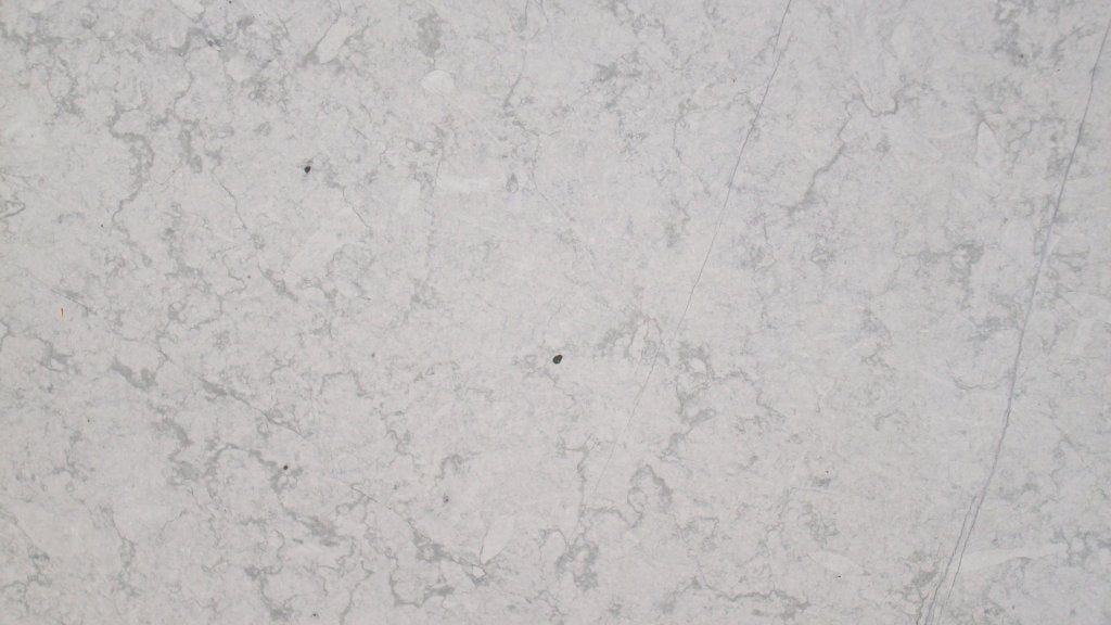 Full Tile Sample - Everest Grey Limestone Tile - 16" x 16" x 3/8" Honed
