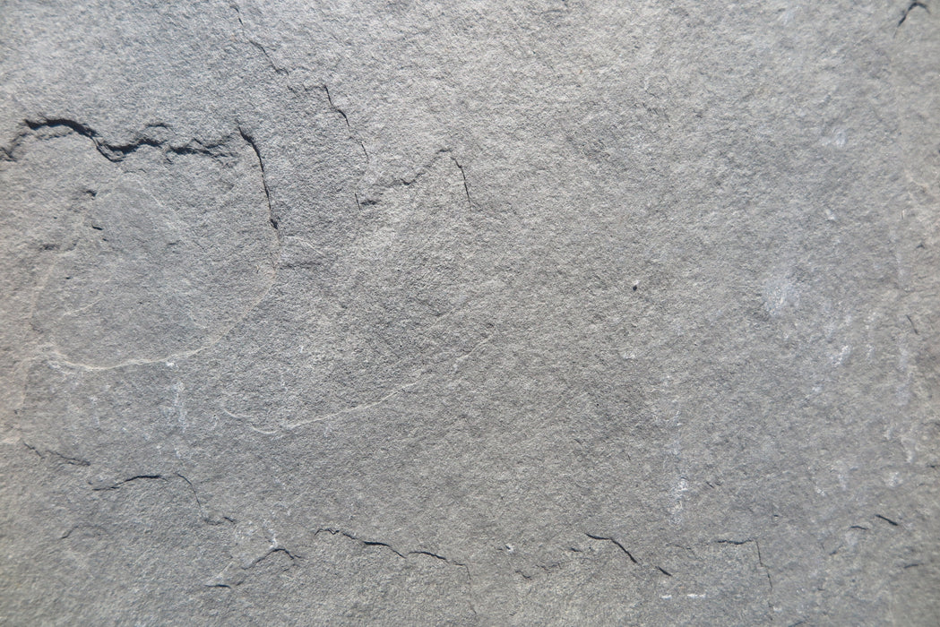 Full Tile Sample - Kota Grey Limestone Tile - 12" x 12" x 1/2" - 3/4" Natural Cleft Face & Back