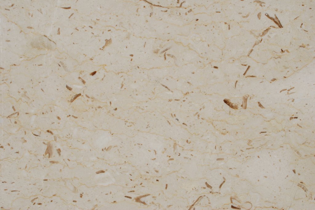 Full Tile Sample - Perlato Sicilia Marble Tile - 12" x 12" x 3/8" Polished