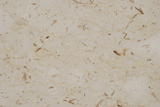 Full Tile Sample - Perlato Sicilia Marble Tile - 12" x 12" x 3/8" Polished