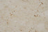 Full Tile Sample - Perlato Sicilia Marble Tile - 12" x 12" x 3/8" Polished