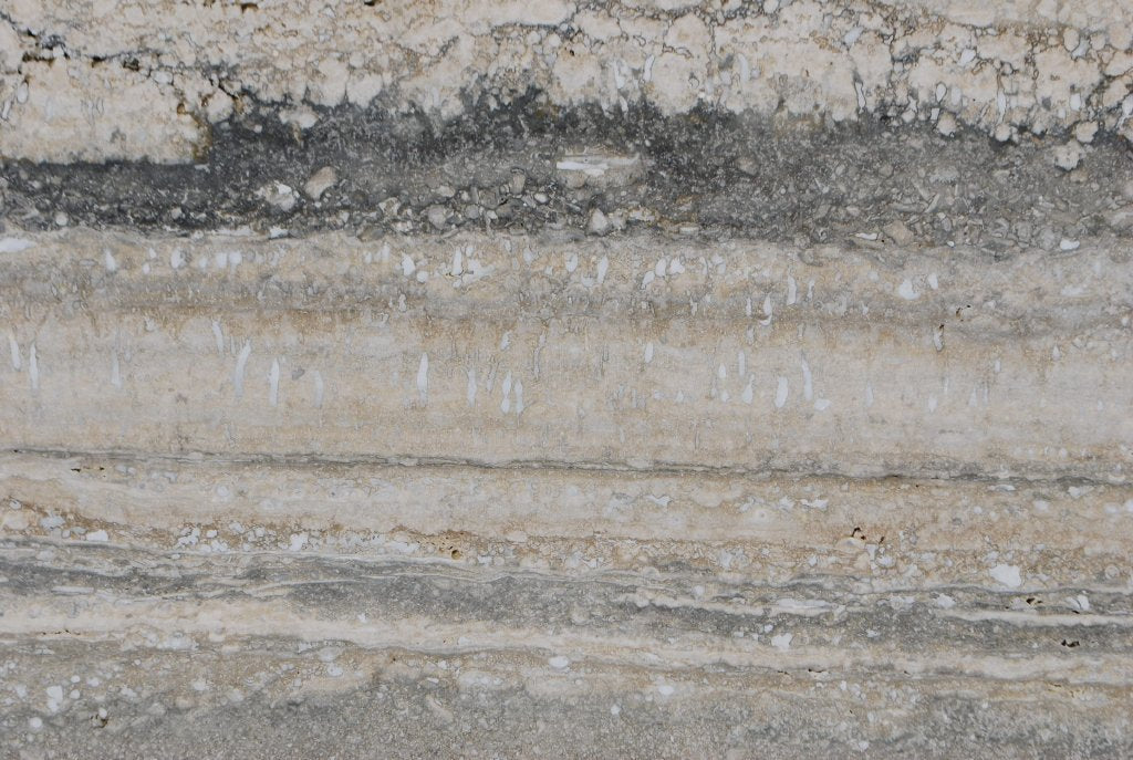 Full Tile Sample - Silver Travertine Tile - 12" x 24" x 1/2" Polished