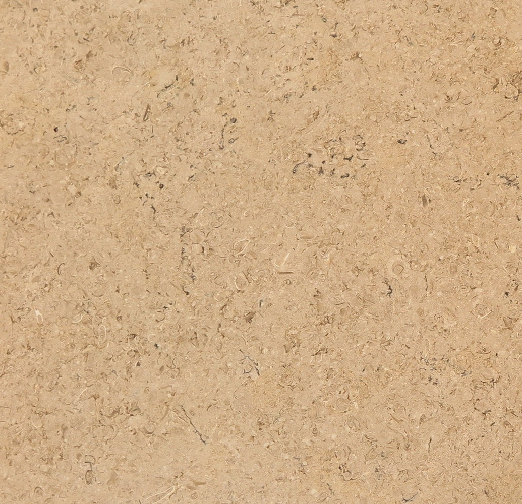 Full Tile Sample - Trieste Limestone Tile - 18" x 18" x 1/2" Polished