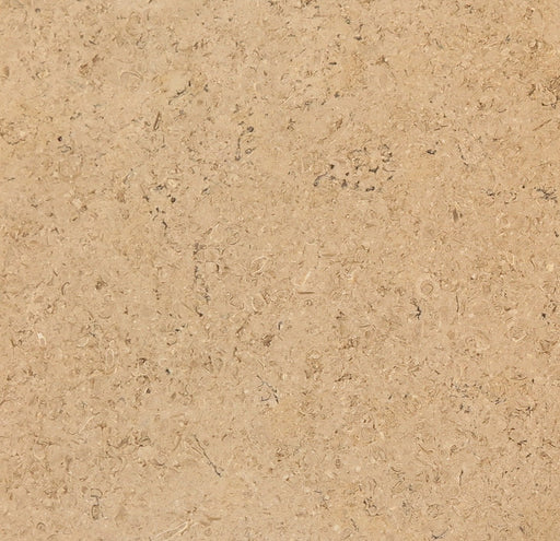Full Tile Sample - Trieste Limestone Tile - 18" x 18" x 1/2" Polished