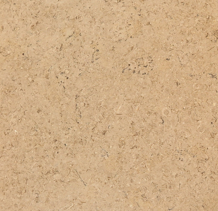 Full Tile Sample - Trieste Limestone Tile - 18" x 18" x 1/2" Polished